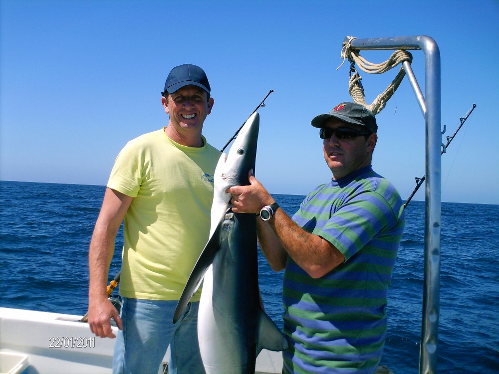 SHARK FISHING - Group Fishing Trips